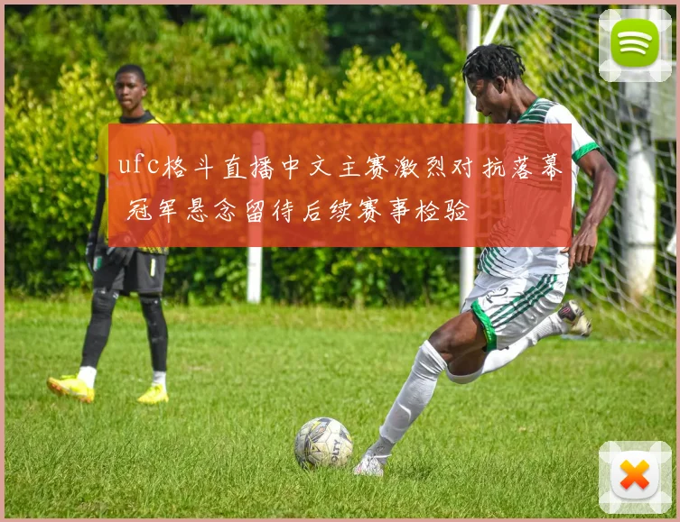 ufc格斗直播中文主赛激烈对抗落幕 冠军悬念留待后续赛事检验