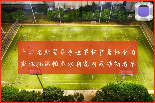 十二名新星争夺世界杯首秀机会马斯坦托诺帕尼切利塞内西领衔名单