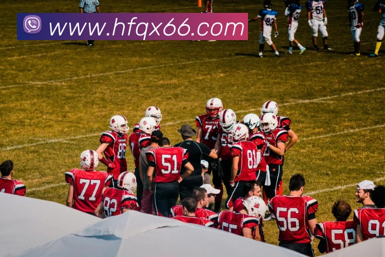 米兰体育官网登录入口全站App